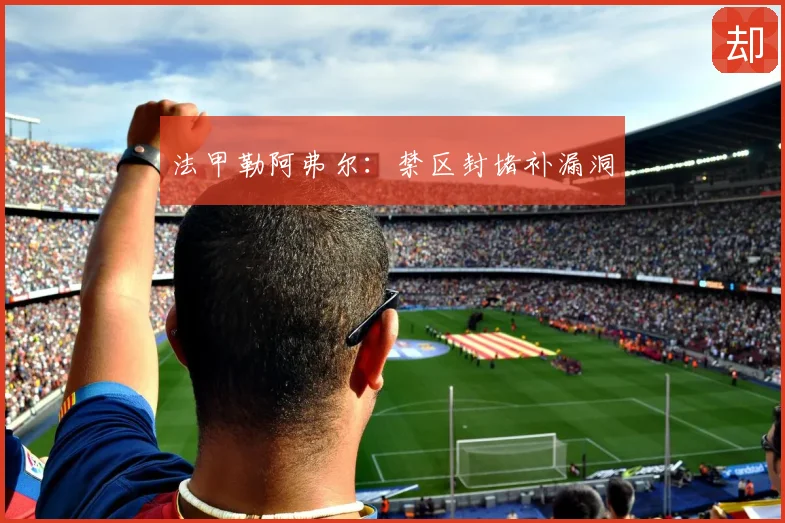 法甲勒阿弗尔：禁区封堵补漏洞